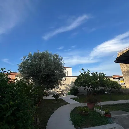 Cycas Tatil Evi Cellole