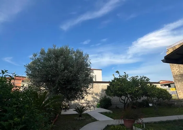 Cycas Tatil Evi Cellole